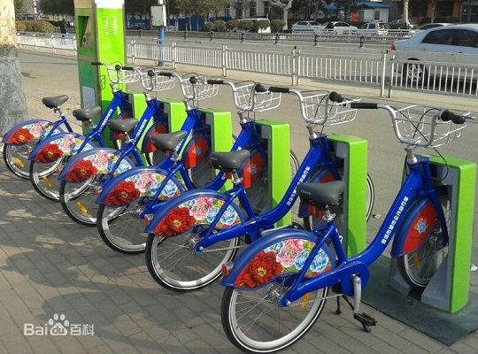 蔡甸公共自行车春节前后投入使用 2小时以内免费