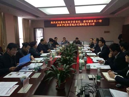 区委、区政府主要领导到中建武汉知音城发展有限公司调研