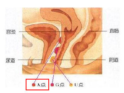 δ-58.jpg