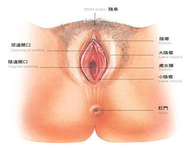 δ-57.jpg