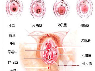 女人下面的真实模样 女人下面的真实模样