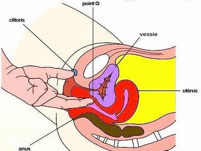 女人下面的真实模样 女人下面的真实模样